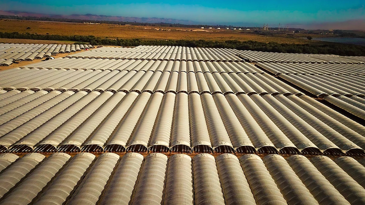 Aerial view of a large commercial Ferrari Metals hoop-house project