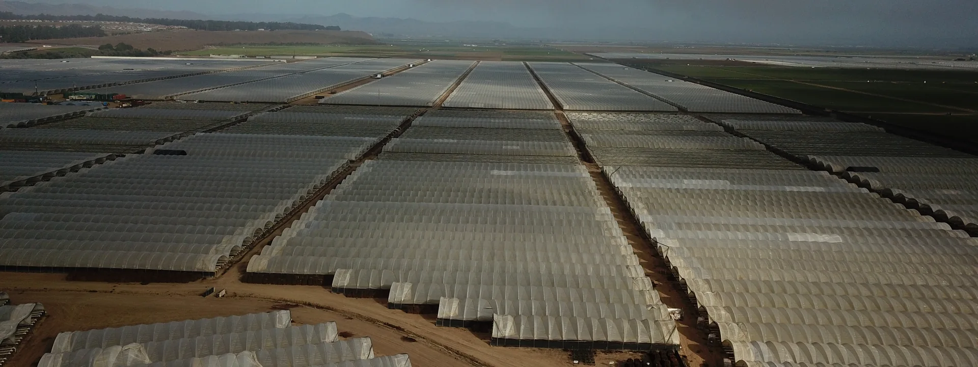 Aerial view of a large commercial hoop-house growing site